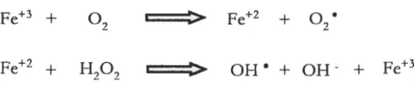 Figure 5: Réaction de Haber-Weiss