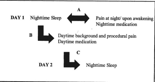 Figure 1. Daily Temporal Interrelationships Between Sleep, Pain and Medication