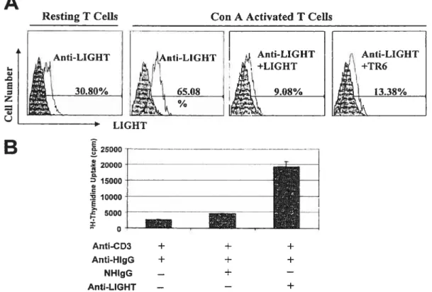 figure 6. Anti-Ii uinan LIGHT mAb binds to mouse LIGHT and costimutates mouse T Anti-LIGHT Anti-LIGHT +LIGHT I? 6508 908% Anti-CD3 + + + Anti-HIgG + + + NHIgG + Anti-LIGHT — — ÷