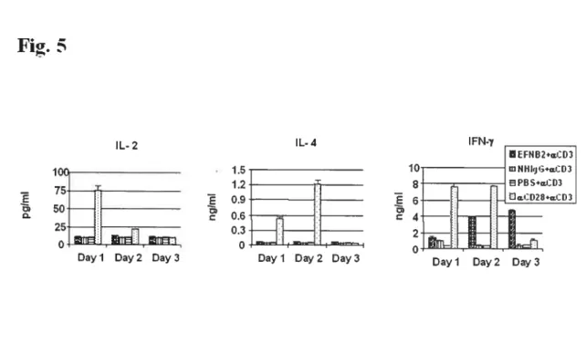 figure 5. SoÏidphase EfNB2-fc strongly augments IfN-y but not IL-2 or IL-4 production by