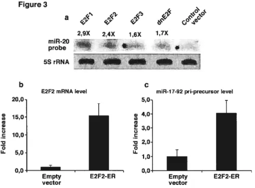 Figure 3 1< <f f / 2,9X 2,4X 1,6X 1,7X miR-20 probe 4e * 5S rRNA j b c