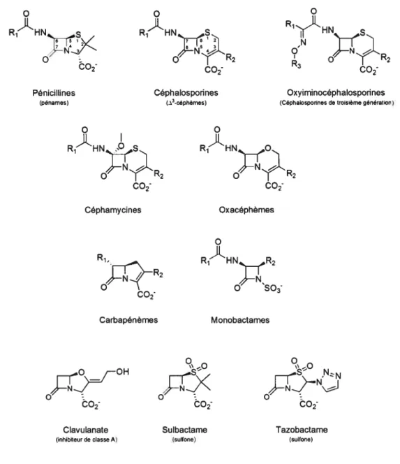 Figure 1.1 Structure des classes d’antibiotiques 3-lactames les plus communément