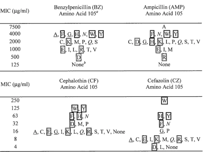 Table 2.1 MICs of E. cou XLY-Blue ceils expressing TEM-1 Ç3-lactamase with Tyr-105 replacements.