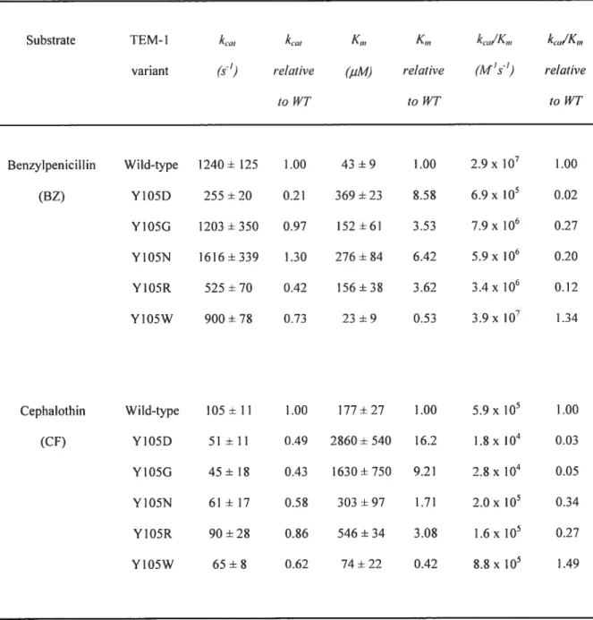 Table 2.111 Kinetic parameters for wild-type TEM-1 13-lactarnase and Y1O5X mutant