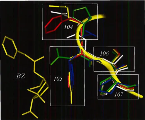 Figure 2.2 Superimposition of residues 104—107 of 5 Class A f3-lactamases crystal structures