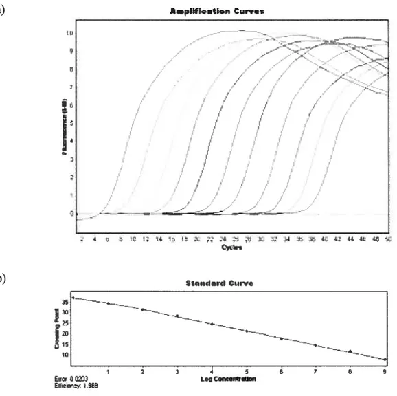 Figure 7 : Quantification d’ARNm par PCR quantitative en temps réel sur le système Light Cycler.