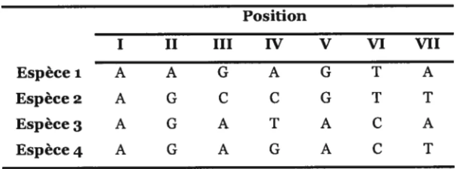 Tableau II Alignement de quatre séquences hypothétiques Position I II III IV V VI VII Espècel A A G A G T A Espèce2 A G C C G T T Espèce3 A G A T A C A Espèce4 A G A G A C T