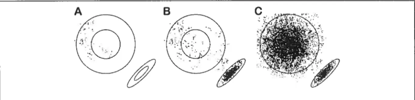 Figure 17 Marche aléatoire illustrant le MCMC