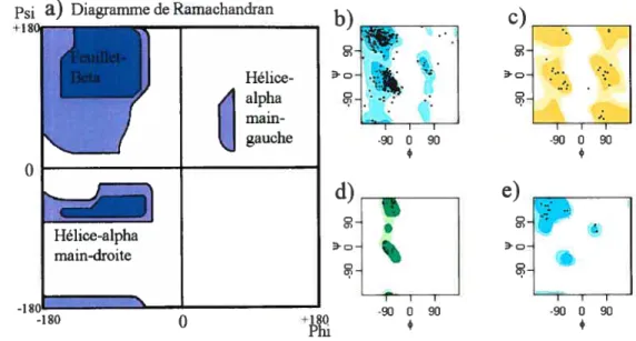 FIG. 2.4 Diagramme de Ramachandran des valeurs des angles dièdres permises et des éléments structures secondaires associés (a)