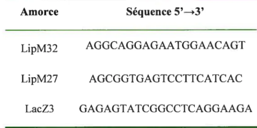 Tableau II Amorces utilisées pour le génotypage
