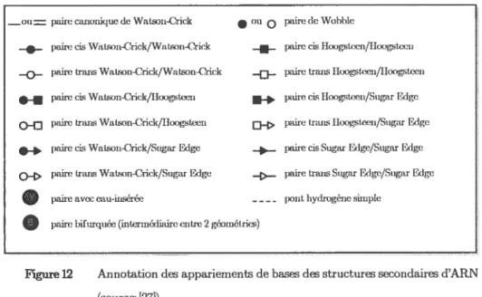 Figure 12 Annotation des appariements de bases des structures secondaires d’ARN