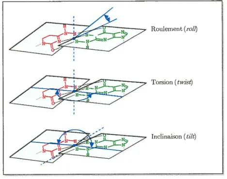 Figure 14 Angles de mesures des variations spatiales d’un appariement canonique.