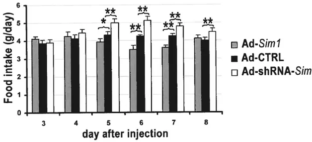 Figure 4. Bitateral infection of the PYN with adenoviruses that modulate Simi expression levels affects food intake