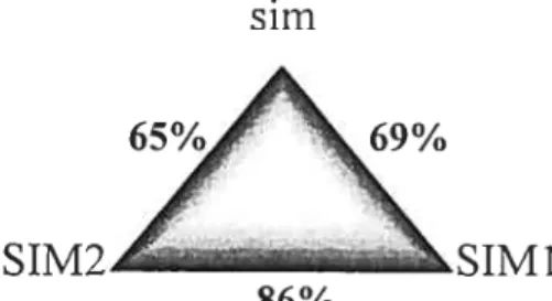 Figure 4. Arnino acid identity ofthree SIM proteins.