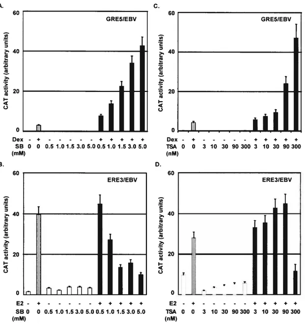 Figure 1: The HDAC inhibitors trichostatin A and sodium butyrate have opposite effects on GR and ER transcriptional activity