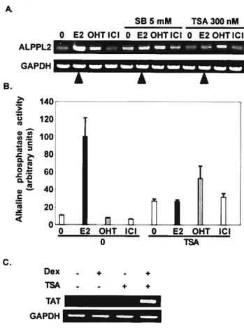 Figure 4. HDACi repress estradiol-stimulated expression of ALPPL2 and stimulate induction of the TAT gene by dexamethasone.