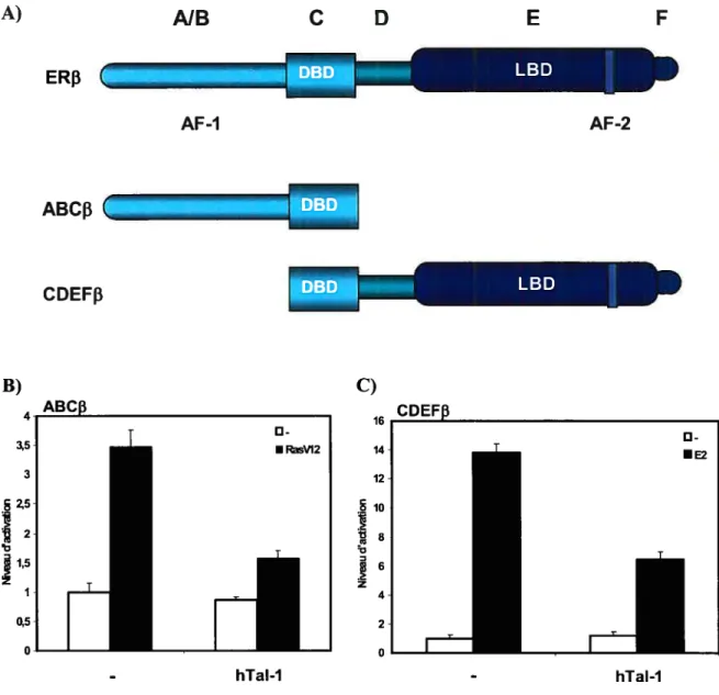 Figure 8: Les effets de Tal-1 sur ERf3 sont AF-1-dépendant et AF-2-dépendant