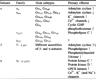 Tableau 1.1: Classification des principales sous-unités des protéines G et leurs effecteurs primaires