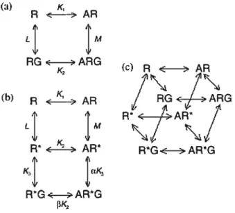 Figure 1.3 : Modèles pharmacologiques classiques de l’activation des RCPGs. (a) Le modèle du complexe ternaire proposé par De Lean et al.(32)