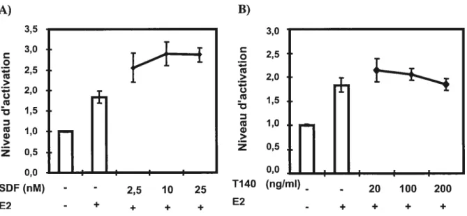 Figure 9. La stimulation des MVLN avec le SDF-1 en présence d’estrogène permet d’améliorer la réponse ligand dépendante des ERs.