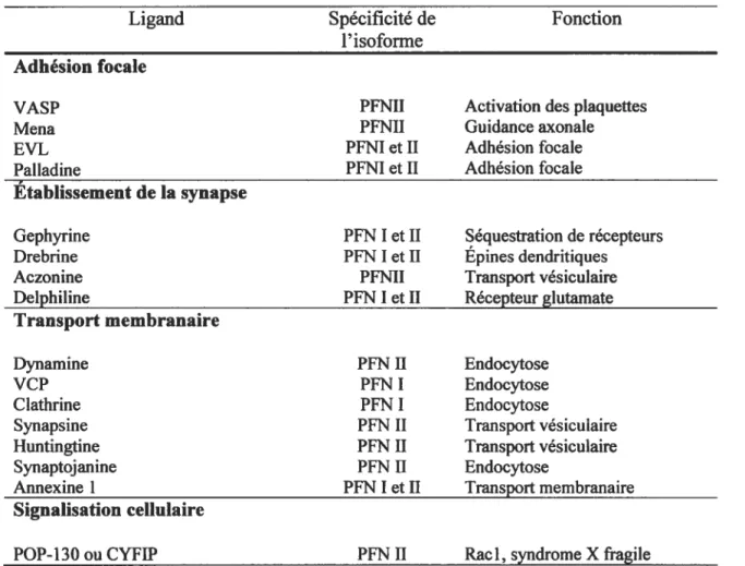 Tableau I. Ligands de PFN identifiés dans les cellules de mammifères7.
