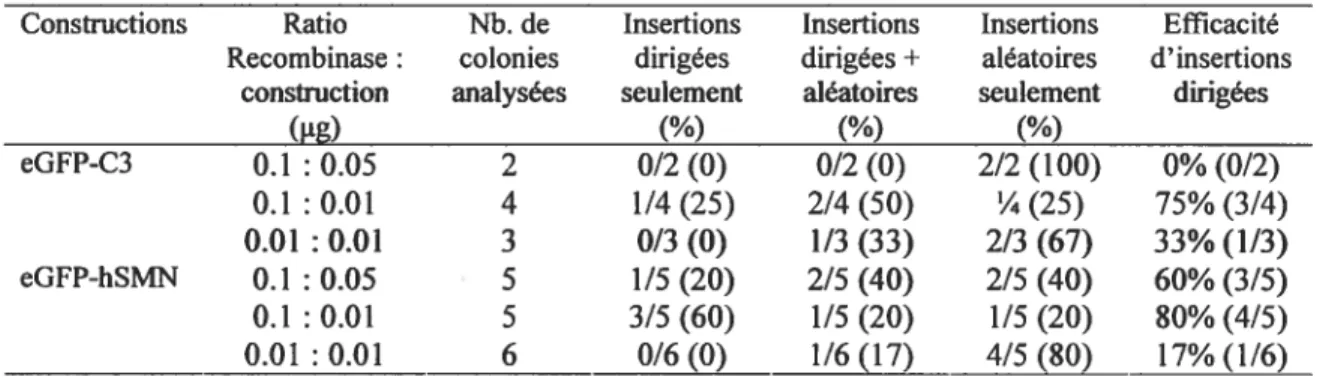 Tableau III. Évaluation de l’efficacité de recombinaison dans les cellules P19 Hi nd en fonction du ratio de la quantité de vecteur recombinase Cre t eGfP-C3 ou eGFP-hSMN