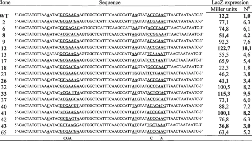 TABLE III. Sequences ofvariants from a partially degenerated library ofthe localization element El that interacted with She2p in a yeast three-hybrid screen.