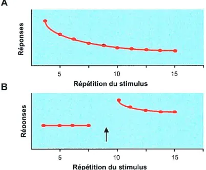 Figure 1.1- Divers types d’apprentissage non associatif. (A) Habituation. La présentation répétitive d’un stimulus produit une diminution de la réponse