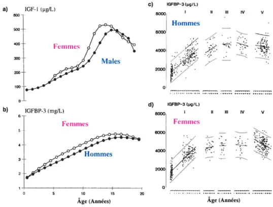 figure 2. Niveaux circulants d’IGF-I ta) et d’IGFBP-3 (b) durant l’enfance et la puberté selon le sexe ainsi que les niveaux d’IGFBP-3 selon les stades de développement pubertaire (« Tanner stages »)