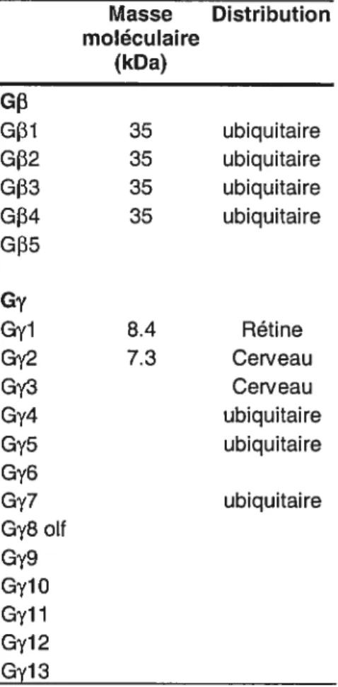 Tableau HI: Classification de sous unités bêta et gamma de la protéine G