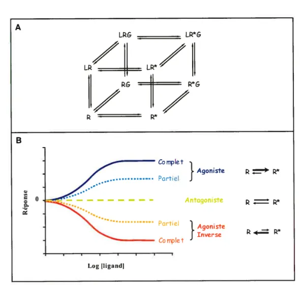 figure 4. Pharmacologie des RCPGs.