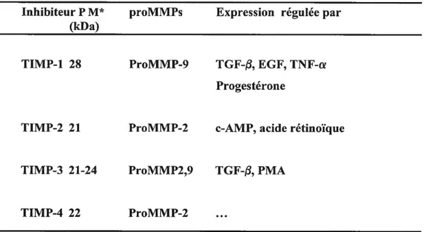 TABLEAU IV Les inhibiteurs tissulaires des MMPs