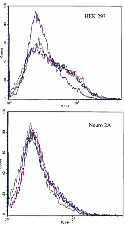 figure 3.5 — Cytofluorornétrie de flux sur des cellules N2A ou HEK transfectées