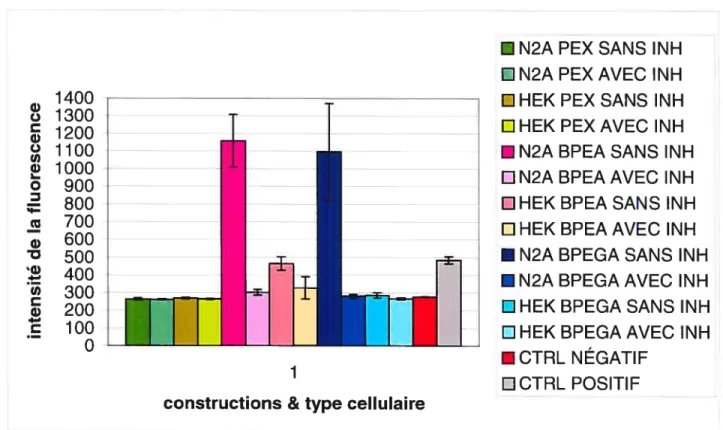 Figure 3.7 - Intensité de la fluorescence émise par le clivage d’un substrat