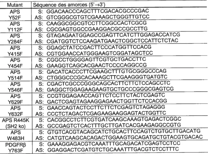 Tableau Il Amorces complémentaires utilisées pour la production des mutants d’APS et du PDGFRj par mutagénèse dirigée