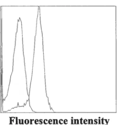Figure 7: FÏow cytometric analysis ofNK-]R expression in Jui*at celis. Representative illustration of 3 separate experiments.