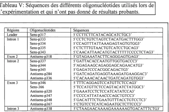 Tableau V: Séquences des différents oligonucléotides utilisés lors de l’expérimentation et oui n’ont oas donné de résultats orobants.