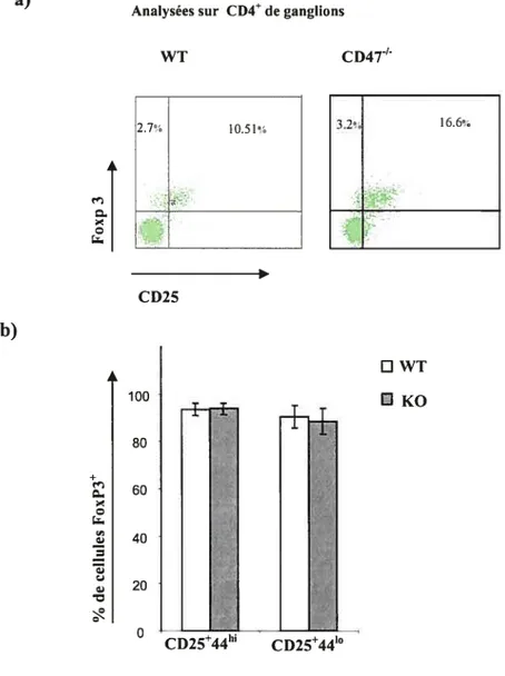 Figure 10. L’expression de Foxp3 dans les cellules CD4CD25 chez les vieilles souris CD4T’.