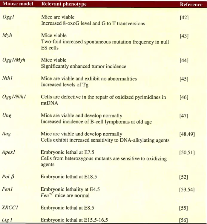 Table I-II. Summary of BER mouse models.