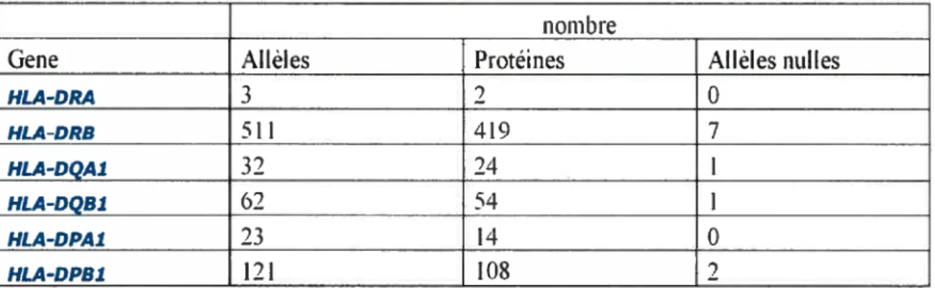 Tableau I: Polymorphisme des molécules classiques du CMH II