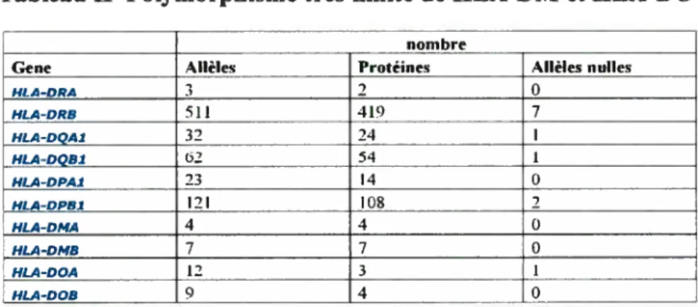 Tableau II Polymorphisme très limité de IILA-DM et HEA-DO