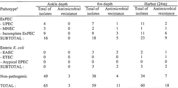 TABLE 2a. Pathotypes and presence of antimicrobial resistance genes in E. cou isotates according to sampling location during spring
