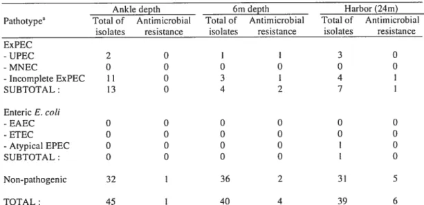 TABLE 2b. Pathotypes and presence of antimicrobial resistance genes in E. cou isolates according to sampling location during summer