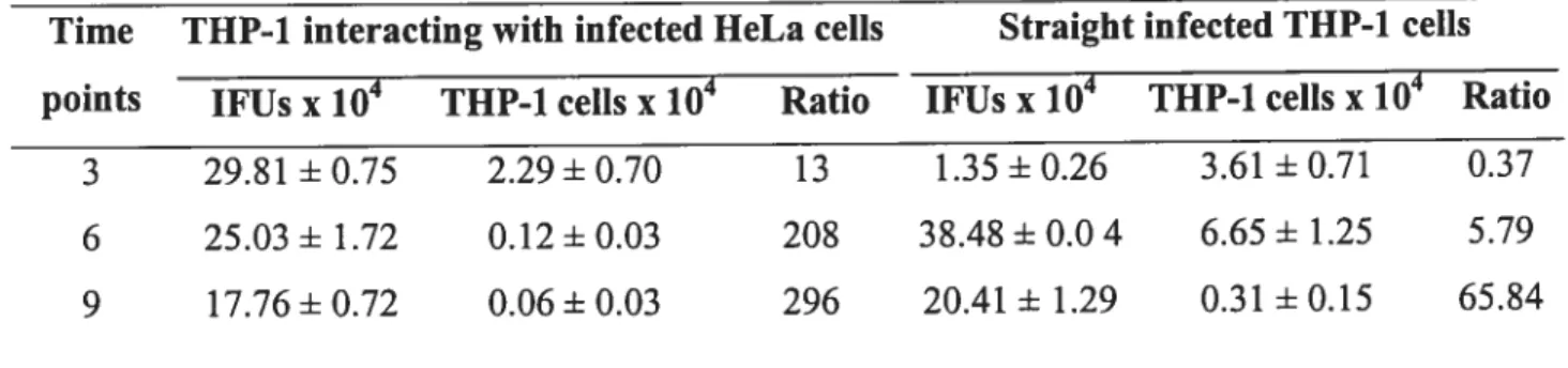 Table 2. C. trachomatis serovar L2 infectious particles (ifUs) compared to THP-1 ceils number in