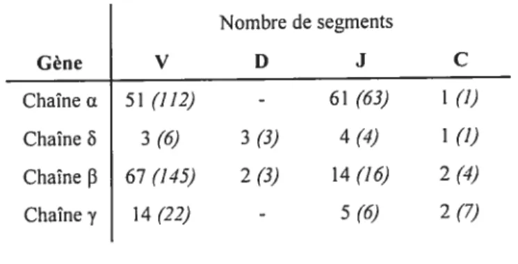 Tableau I famille des gènes du TCR chez les humains.