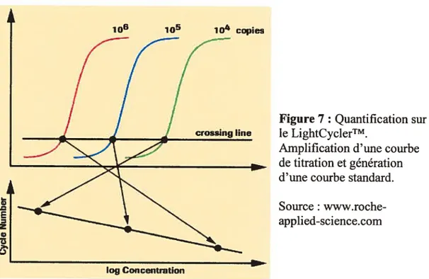 Figure 7: Quantification sur le LightCyclerTM.