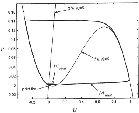 Figure 1.2 Espace de phase du modèle FHN. Les courbes correspondant aux équations