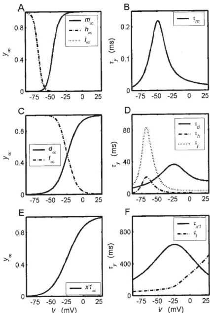 Figure 1.3 Les variables dynamiques à l’infini t yj du modèle MBR en voltage imposé: les