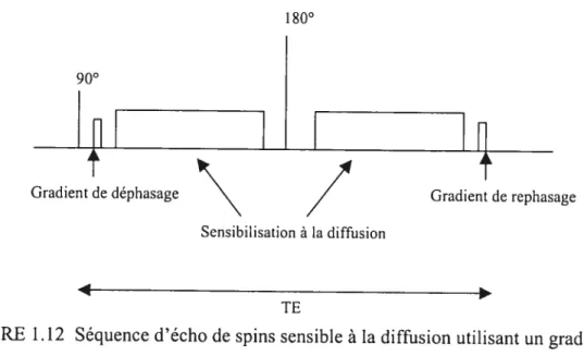 fIGURE 1.12 Séquence d’écho de spins sensible à la diffusion utilisant un gradient bipolaire.