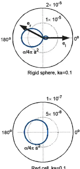 FIG. 2.3 — Polar diagram of the arg1e dependence of the scattering cross-section u (bille une) of thc rigid spherc and of the red blood celi in the Rayleigh approximation